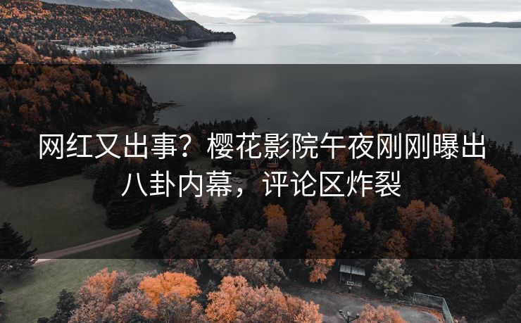 网红又出事？樱花影院午夜刚刚曝出八卦内幕，评论区炸裂